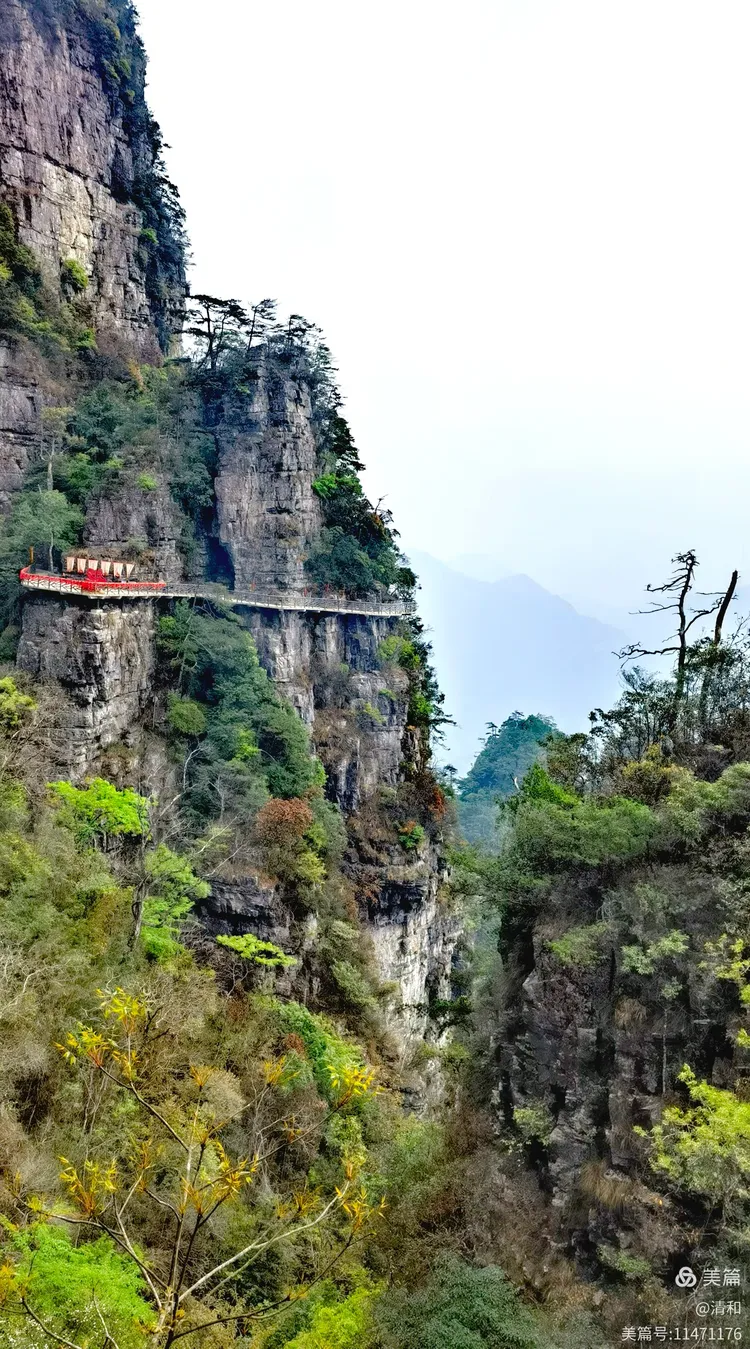 江西海拔 最高的山 瑶山探秘相关图片3